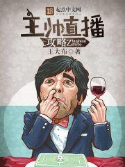 主帅是干嘛的