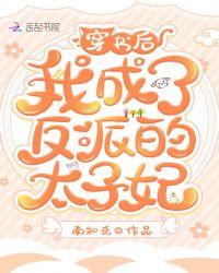 穿书后我成了反派的太子妃txt