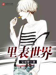 里表世界是什么意思