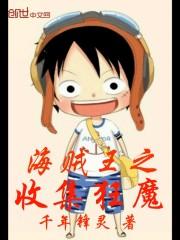 海贼无双4全收集
