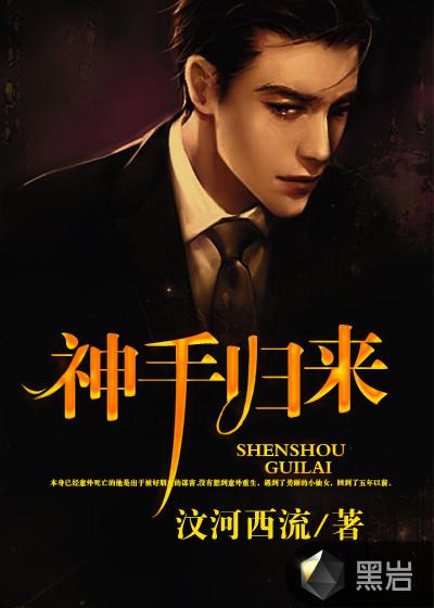 神手完整版免费阅读全文