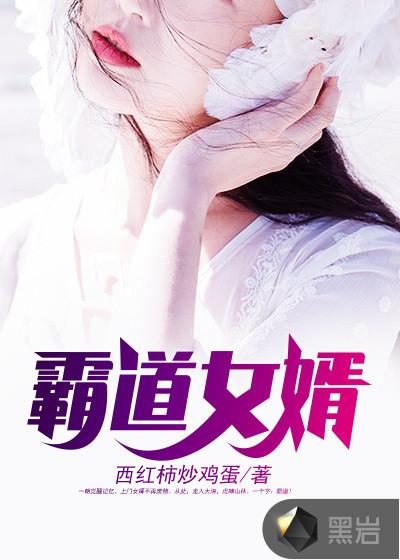 霸道女婿全文免费阅读