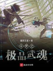 斗罗之极品武魂 - 最新章节抢先读正版