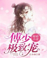 暖萌小妻傅少极致宠睿睿是谁的