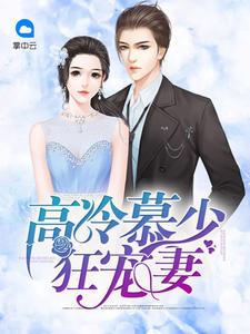 慕少情缠高冷妻