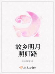 故乡明月照归路讲的什么故