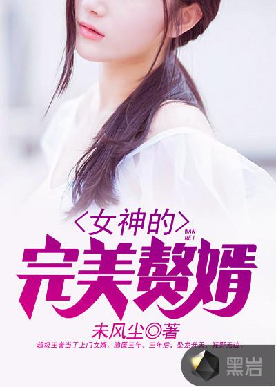 女神的完美赘婿 未风尘