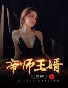 帝师王婿完整版免费阅读
