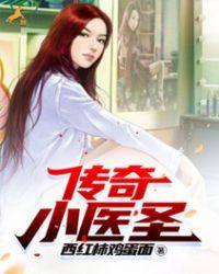 传奇小医圣全文免费阅读