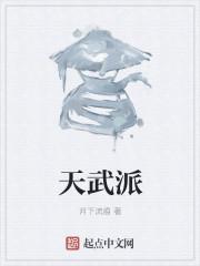 天武派用的武器是什么
