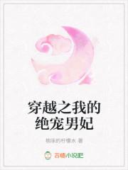 穿越之绝色男宠txt