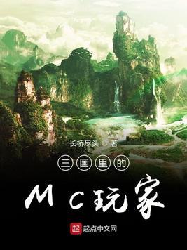 三国里的mc玩家有什么用