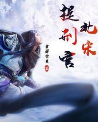 北宋提刑官吉祥宝贝