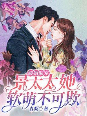 暖婚蜜爱景少宠妻
