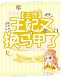 王爷王妃又改嫁了全文免费阅读