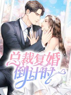 总裁复婚倒计时epub