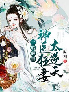 云苏城云风清神医狂妻太逆天