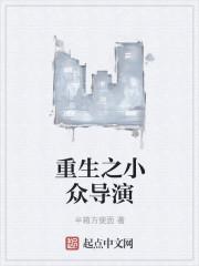 比较小众的导演