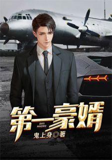 龙王婿txt