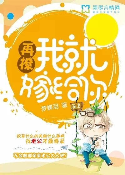 再撩我就嫁给你梦蝶泪