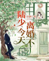 辈少今天离婚吗