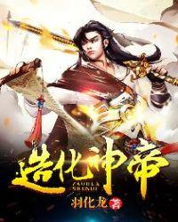 造化神帝叶风免费阅读