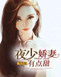 夜少娇妻有点甜沈乔