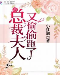 霸道总裁夫人别想跑