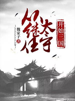 从继任太守开始三国免费阅读
