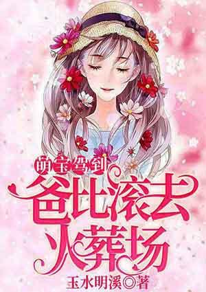 萌宝驾到爸比滚去火葬场