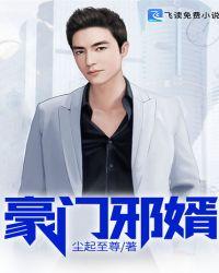 豪门邪婿 尘起至尊TXT