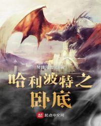 哈利波特的猫头鹰