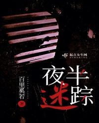 夜半迷踪免费阅读