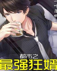 都市之最强狂婿TXT电子书完本