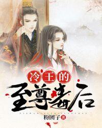 冷王的至尊毒后txt