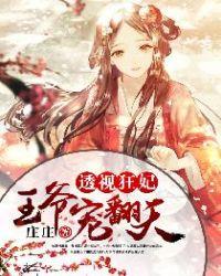 透视狂妃王爷宠翻天 假皇上