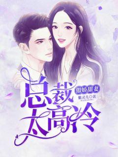 傲娇甜妻总裁太高冷免费阅读