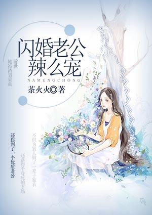 闪婚老公腹黑宠免费阅读