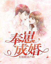奉崽成婚by鬼半京全文免费