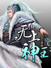 天元武探花