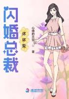 闪婚总裁偏执爱