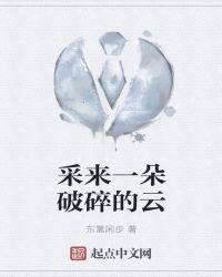 采来一朵破碎的云是什么歌