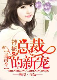 宁安苏丞北免费阅读正版