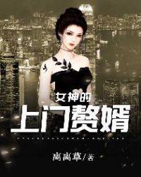 女总裁的上门女婿人物关系表