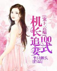 宠上云端机长追妻100式 TXT