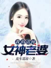 我的女神老婆笔趣阁