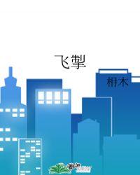 归途伴月飞