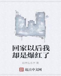 回家以后作文