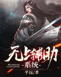 无上辅助系统 平远