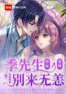 替嫁宠婚季先生别来无恙